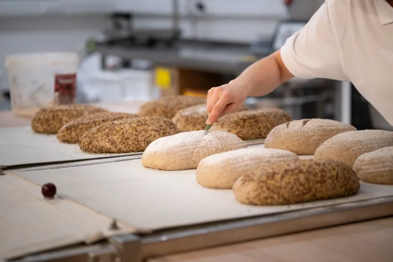 Branding Fotografie: Wat Is Het en Waarom Werkt Het voor Ondernemers in de Kempen